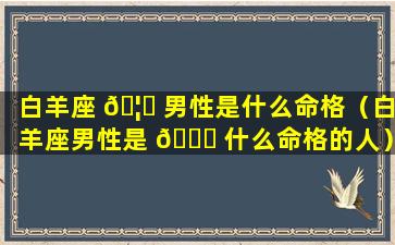 白羊座 🦊 男性是什么命格（白羊座男性是 🐝 什么命格的人）